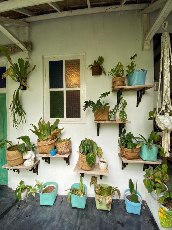 The Bodhi Tree Karimunjawa Hostel Kültér fotó