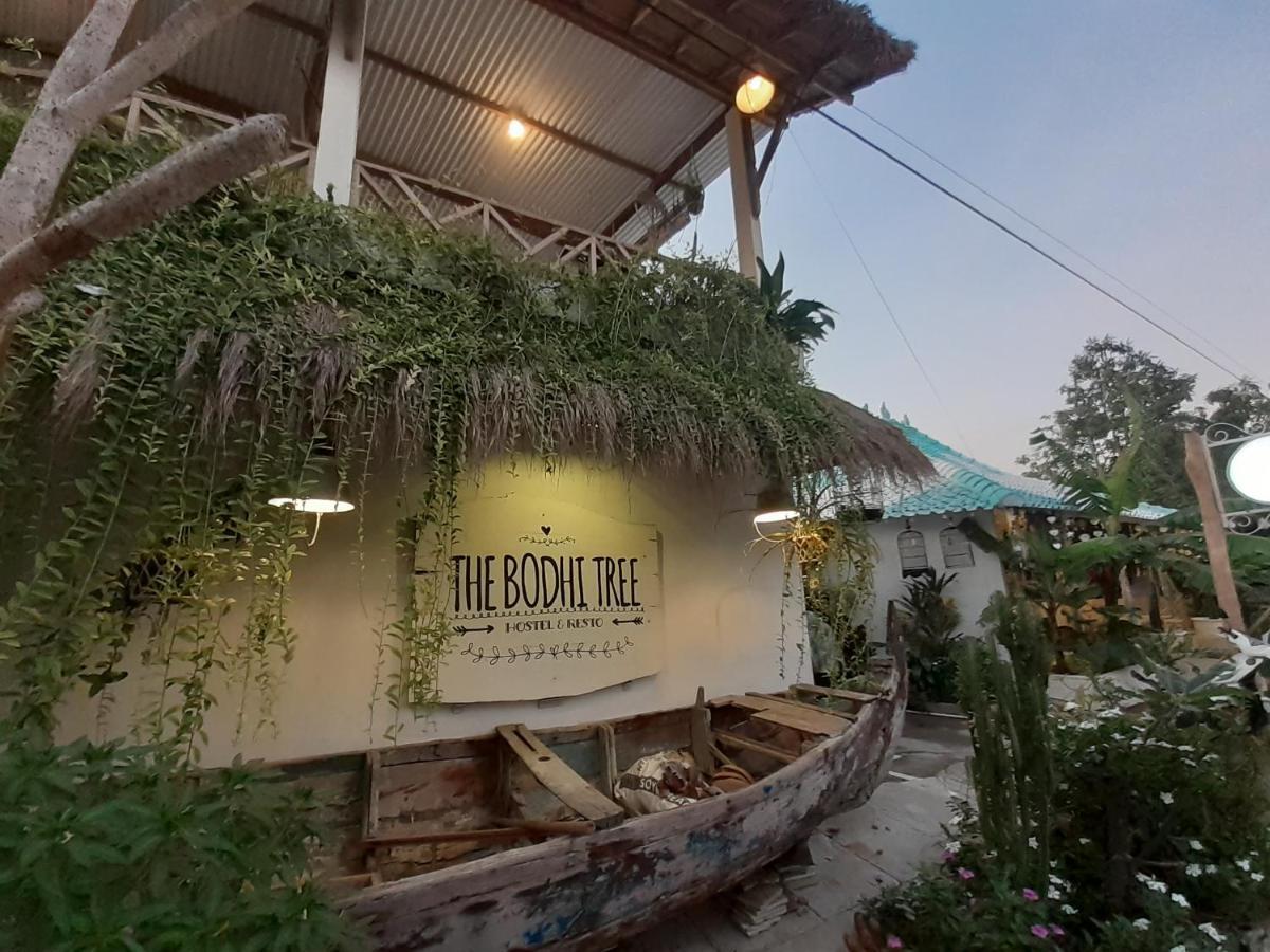 The Bodhi Tree Karimunjawa Hostel Kültér fotó